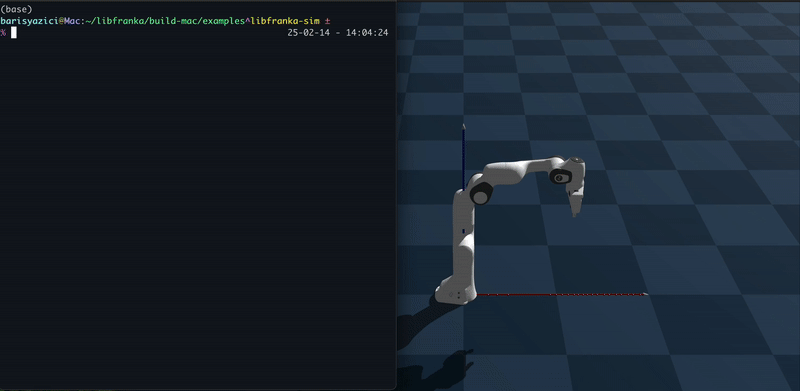 Franka Simulation Server - Image 1